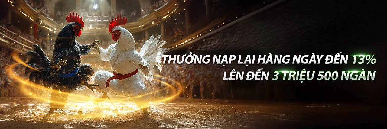 Đấu trường đá gà trực tuyến Sodo15